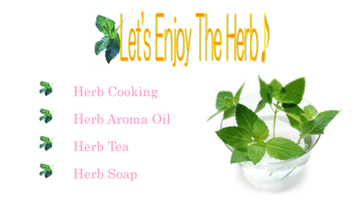 Let's Enjoy The Herb